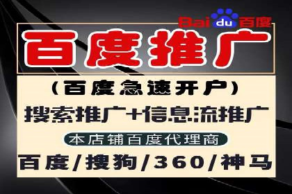 某电商平台信息流广告运营实战案例